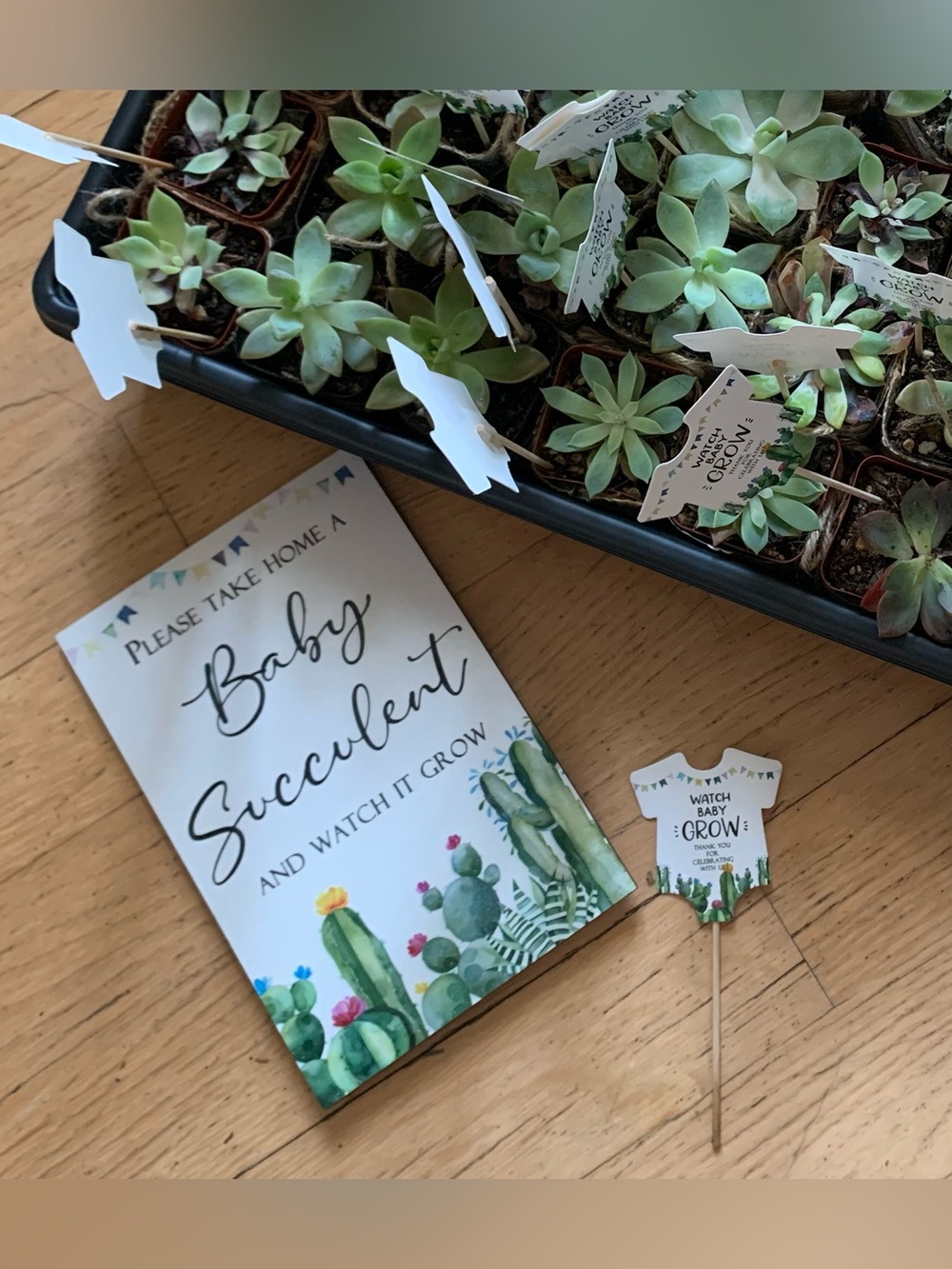 Lot of Baby Shower Decorations! Taco Bout a Baby and Succulent Themed - Picture 10 of 12
